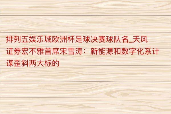 排列五娱乐城欧洲杯足球决赛球队名_天风证券宏不雅首席宋雪涛：新能源和数字化系计谋歪斜两大标的