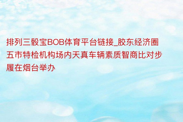 排列三骰宝BOB体育平台链接_胶东经济圈五市特检机构场内天真车辆素质智商比对步履在烟台举办