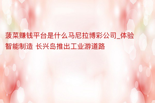 菠菜赚钱平台是什么马尼拉博彩公司_体验智能制造 长兴岛推出工业游道路