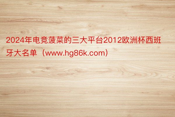 2024年电竞菠菜的三大平台2012欧洲杯西班牙大名单（www.hg86k.com）